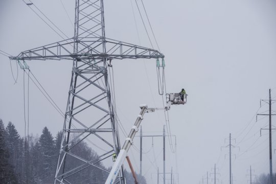 „Litgrid“ įspėjo medkirčius ir žemės savininkus: žmogus supranta klaidą per vėlai