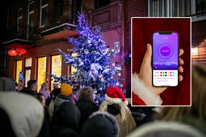 Vienintelė tokia pasaulyje! Šančiuose sutvisko išmanioji žaliaskarė, kurios pavydi net didieji miestai