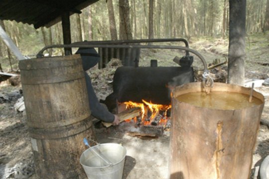 Klaipėdos rajono miške pareigūnai rado naminės degtinės bravorą