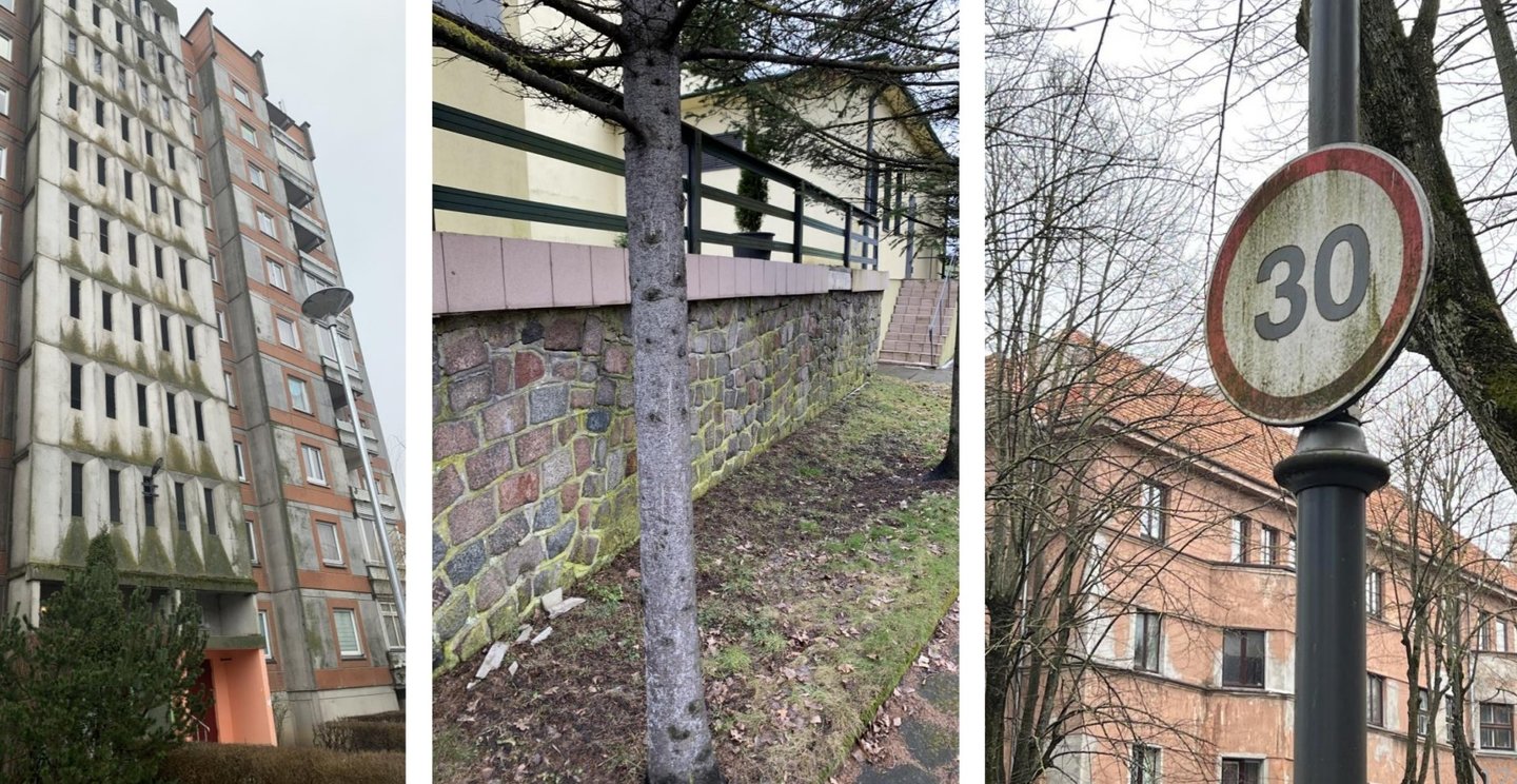  Žaliavimas ant paviršių.