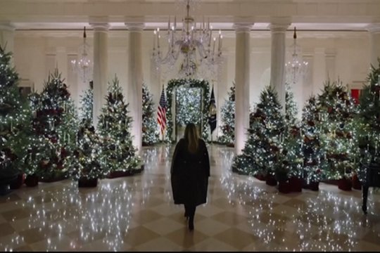 200 metrų girliandų ir kone 55 kilogramai meduolių: pamatykite, kaip M. Trump išpuošė Baltuosius Rūmus