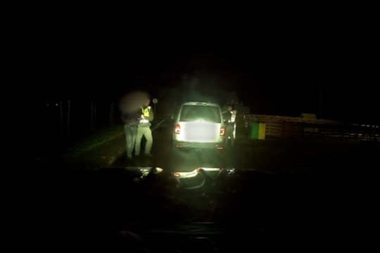 Užfiksuotos girto kazacho gaudynės: pareigūnams į pagalbą netikėtai atėjo vietos gyventojai