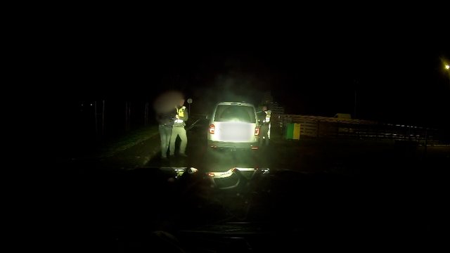 Užfiksuotos girto kazacho gaudynės: pareigūnams į pagalbą netikėtai atėjo vietos gyventojai