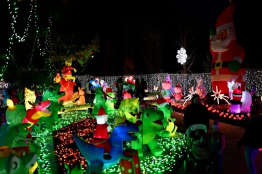 Namų kieme sukūrė tikrą žiemos pasaką: patirtis privers nusikelti į vaikystę