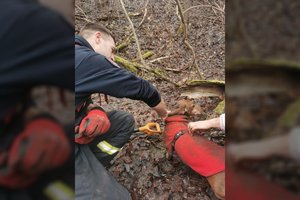 Pasivaikščiojimas su šunimi virto gelbėjimo operacija: vilnietė šaukėsi pagalbos