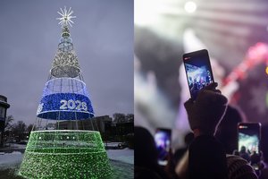 Viename Lietuvos rajone įžiebta Kalėdų eglė sulaukė aštrios kritikos: „Geriau trys šakos“