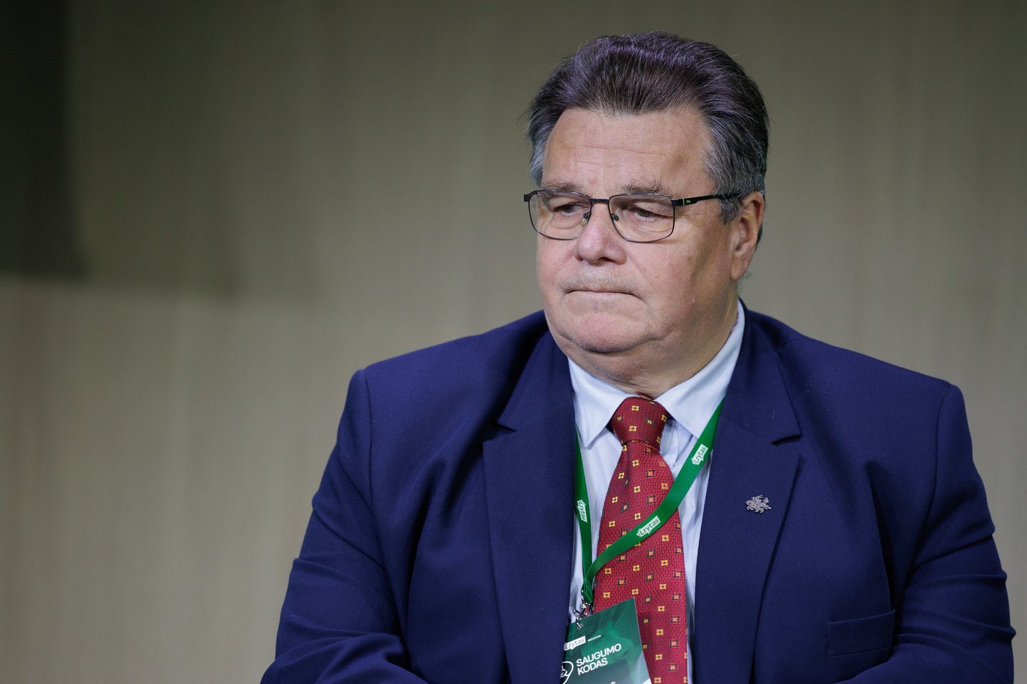 Linas Linkevičius<br>V.Skaraičio nuotr.