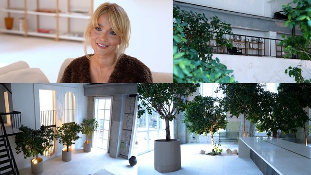 Pasižvalgykite po geriausią viešosios vietos interjerą: senas sienas prikėlė visiškai naujam gyvenimui