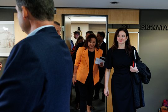 I. Ruginienė: teismo verdikto R. Žemaitaičiui koalicija dar nespėjo apsvarstyti