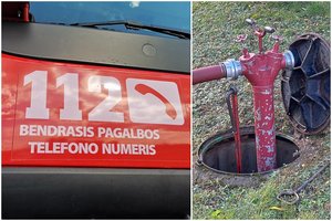 Iš degančio namo Mažeikiuose ugniagesiai išgelbėjo katę ir šunį