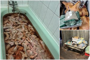 Po galimo apsinuodijimo mokykloje – patikrinimas mėsos perdirbimo įmonėje: aptiko pribloškiančius pažeidimus