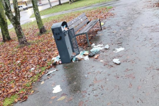 Kaune prie daugiabučių – gyventojų kovos: kaltina ir kaimynus, ir paukščius