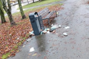 Kaune prie daugiabučių – gyventojų kovos: kaltina ir kaimynus, ir paukščius