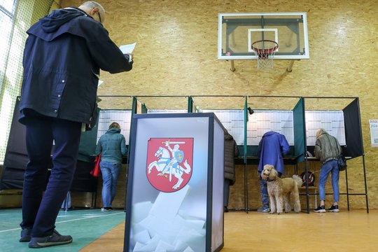 Faktas: DI gali daryti įtaką rinkėjų nuomonei – ką tai gali reikšti demokratijai?