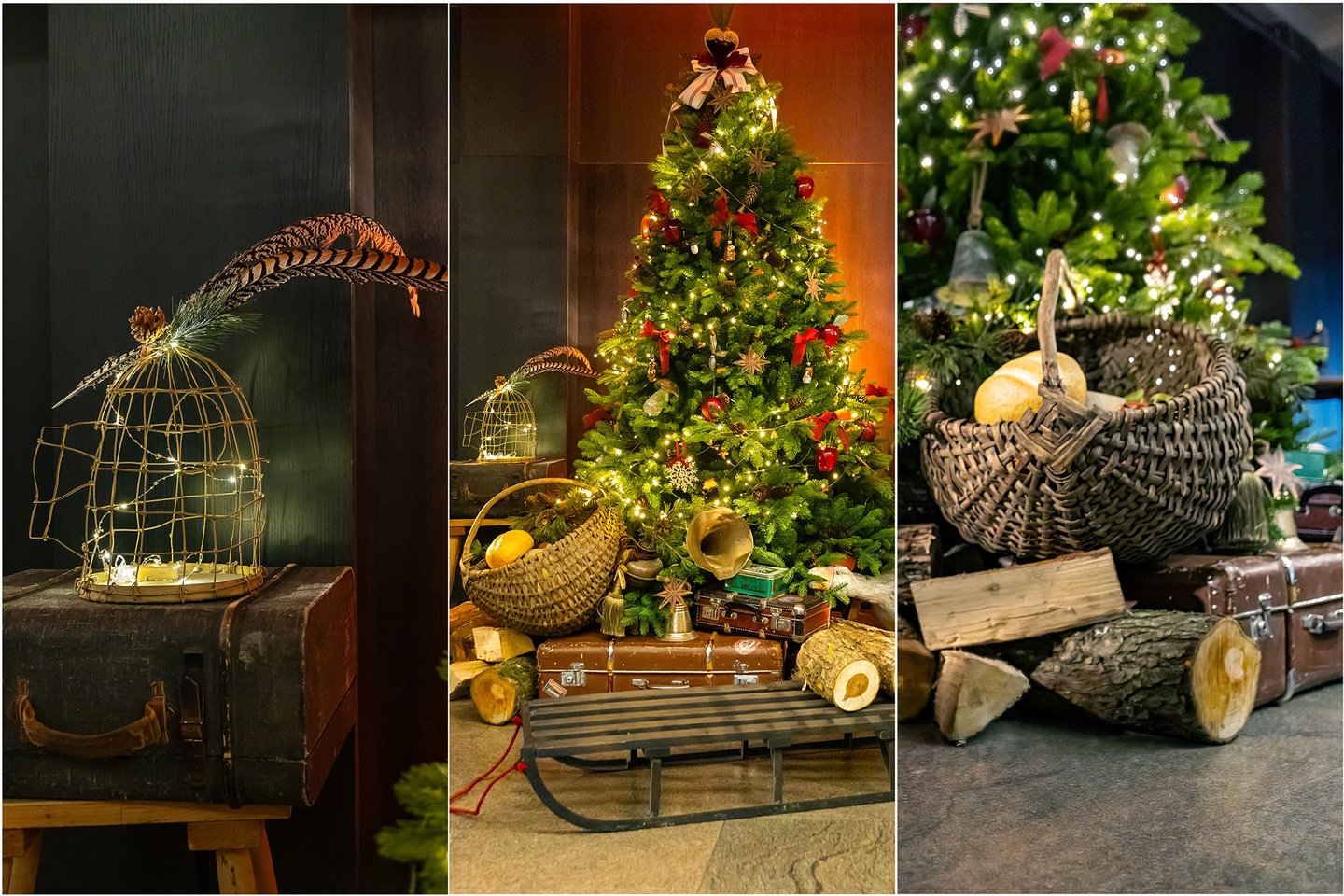 Daivos Šeibelienės nuotr.