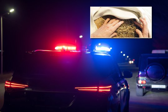 Sukčiavimo aferų kūrybiškumui nėra ribų: už grotų – prekyba šienu