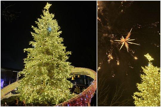 Šakiuose įžiebta Kalėdų eglė – lyg aplieta auksu: juosia įspūdingas žiedas