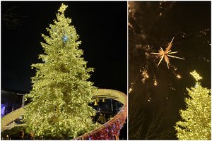 Šakiuose įžiebta Kalėdų eglė – lyg aplieta auksu: juosia įspūdingas žiedas