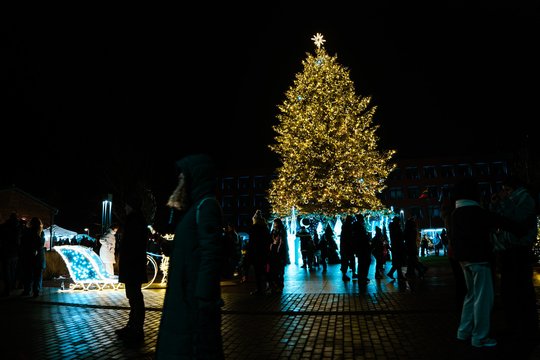 Molėtuose įžiebta pasakiška Kalėdų eglė: miestą užliejo šimtų tūkstančių lempučių šviesos