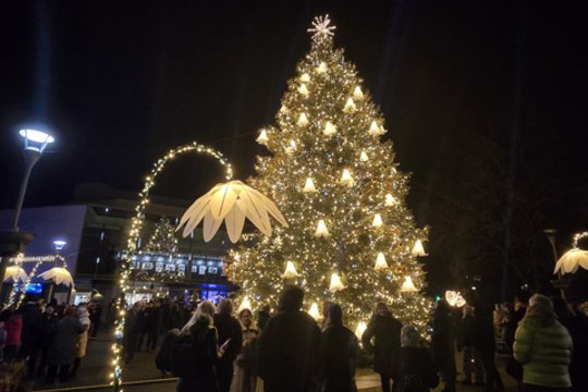 Anykščiuose įžiebta išskirtinai puošta Kalėdų žaliaskarė: miestas virto žydinčia žiemos oaze