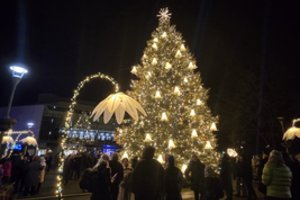 Anykščiuose įžiebta išskirtinai puošta Kalėdų žaliaskarė: miestas virto žydinčia žiemos oaze