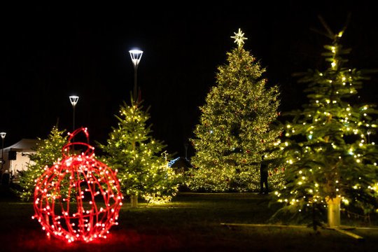 Biržuose – pasakiška Kalėdų eglė gniaužia kvapą: alsuoja tradicijomis ir auksu