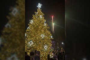 Šilutė įžiebė Kalėdų eglę: skelbia, kad Lietuvoje – tokia vienintelė