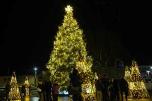 Vilkaviškyje įžiebta Kalėdų eglė suspindo auksu ir jaukumu