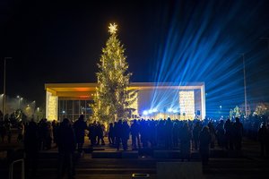 Šventoji su trenksmu įžiebė Kalėdų eglę: žmonės negailėjo komentarų