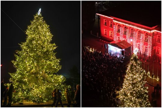 Kazlų Rūdoje – auksu tviskanti Kalėdų žaliaskarė