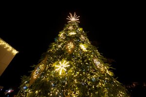 Lentvaryje įžiebta Kalėdų eglė: auksu papuošta žaliaskarė aikštę pavertė šventiniu pasakos kampeliu