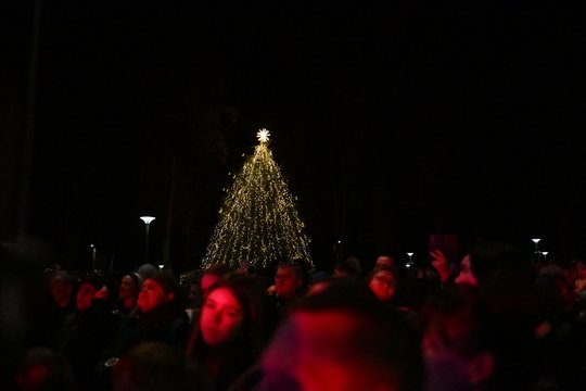 Sušvito Alytaus r. žaliaskarė: auksu sužibusi miestelio puošmena pritraukė būrį smalsuolių