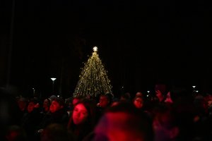 Sušvito Alytaus r. žaliaskarė: auksu sužibusi miestelio puošmena pritraukė būrį smalsuolių