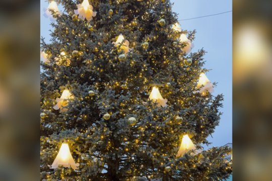 Įvertinkite: įžiebta Anykščių Kalėdų eglė, šalia – ypatinga puošmena