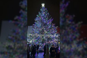 Plungės Kalėdų eglutė sužibo tūkstančiais spalvotų lempučių