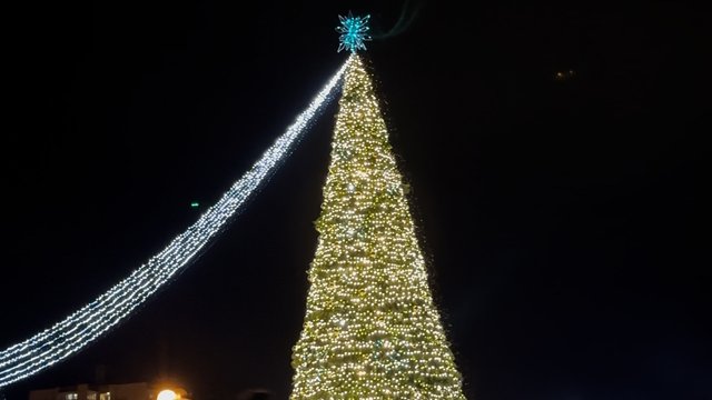 Utenoje sužibo Mažojo princo įkvėpta eglė: greta jos – dar dešimtys unikalių žaliaskarių