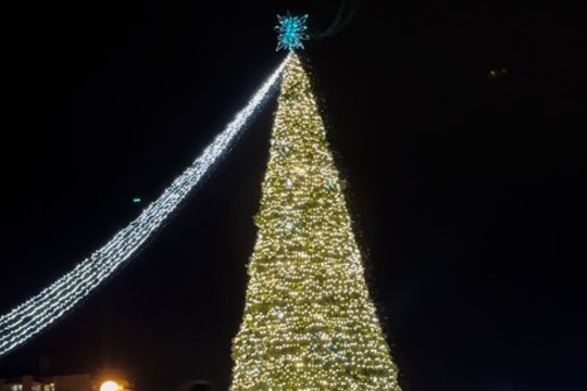 Utenoje sužibo Mažojo princo įkvėpta eglė: greta jos – dar dešimtys unikalių žaliaskarių