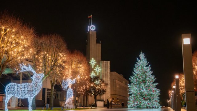 Alytus pasipuošė kalėdiniu jaukumu: užfiksavo akimirką, kai suspindo miesto žaliaskarė