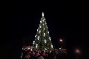 Druskininkuose sužibo karūnuota ir elegantiška žaliaskarė