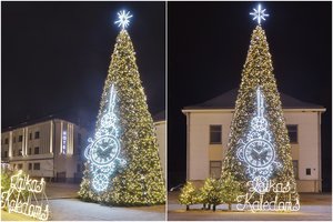 Ukmergėje sužibo unikali žaliaskarė: papuošta išskirtinėmis dekoracijomis