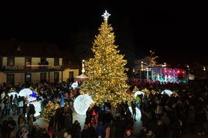 Kalėdinės pasakos Birštone pradžia: įžiebta spindinti kurorto eglė