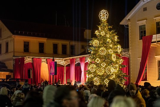 Žvaigždėtų stebuklų kupinas kurortas – suspindo miesto eglė ir „Palangos ledas“
