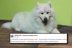 Šunytės Bellos paieškas lydėjo kraupi atomazga: gyvūną užmušęs vyras tuo gyrėsi internete