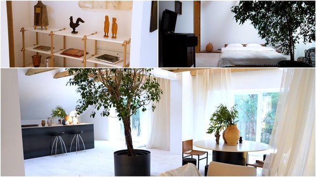 Tokio buto nerasite niekur kitur: sovietinį pastatą pavertė tikra meno ir ramybės oaze