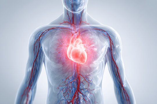 Medikų įspėjimas: „nekaltas“ organizmo signalas gali būti širdies priepuolio pranašas