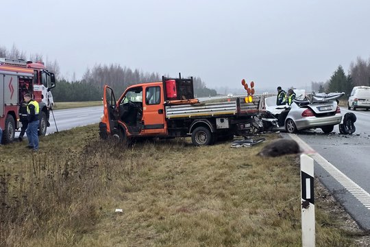 Klaipėdos rajone į kelią išbėgę šernai sukėlė virtinę avarijų – prispaustam vairuotojui prireikė ugniagesių pagalbos
