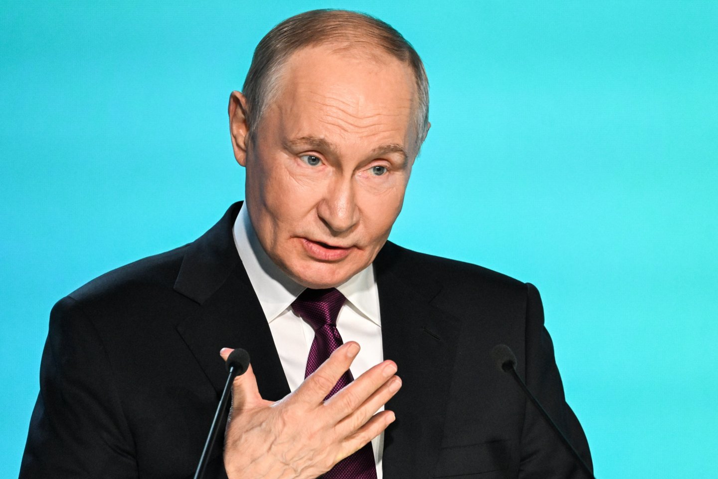 V. Putinas.<br>ZUMA Press/Scanpix nuotr.