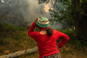 Ekspertai jau pateikė 2025-ųjų vertinimą: bus antri šilčiausi metai istorijoje