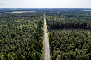 VTEK: dvi miškininkystės asociacijos vykdė neteisėtą lobistinę veiklą