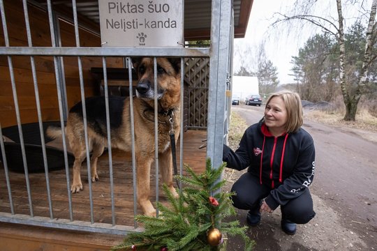 „Pet Rescue Finland“ organizacija namus Suomijoje surado jau daugiau nei 2300 Lietuvos beglobių šunų